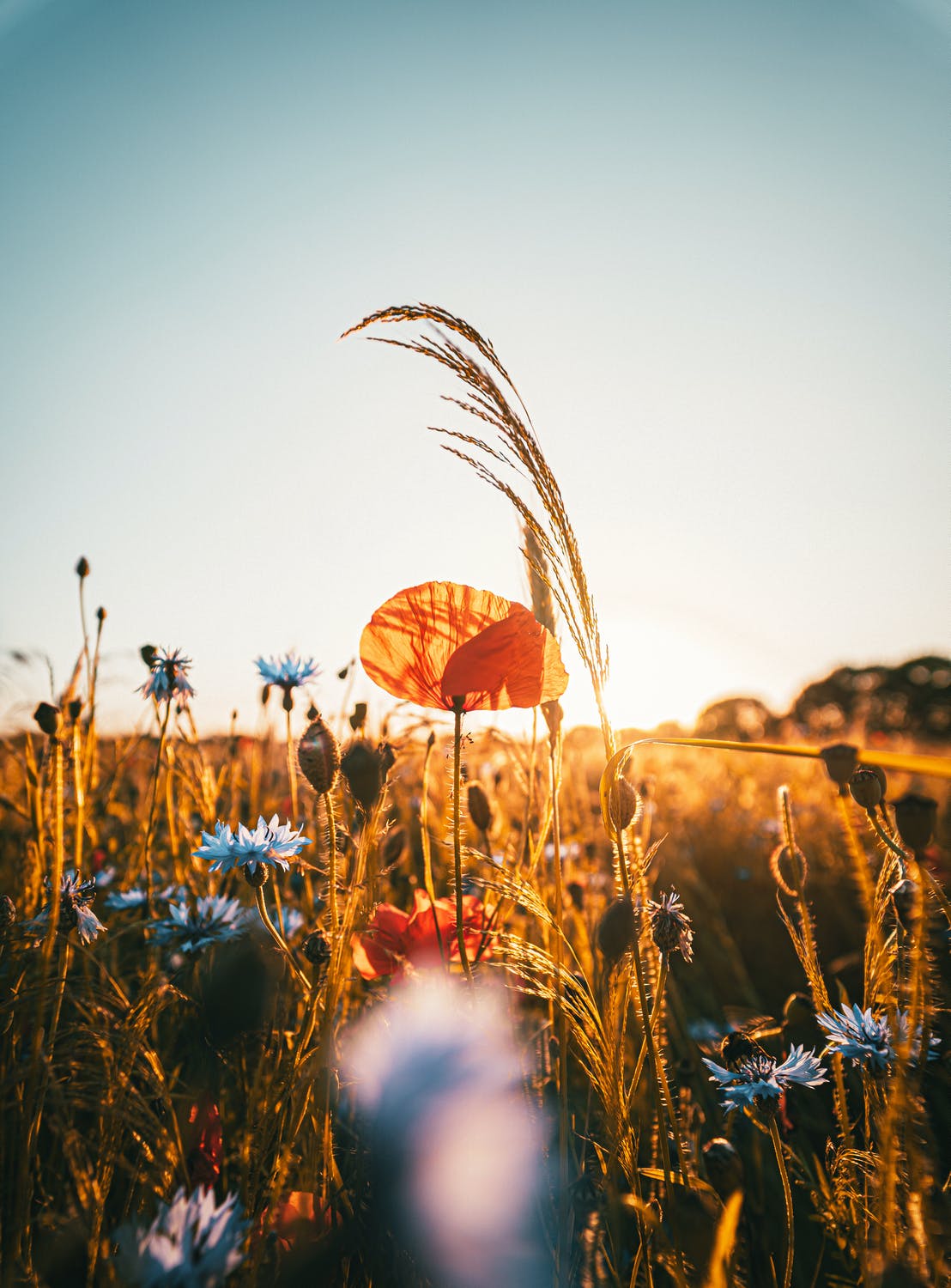 EMDR in San Diego